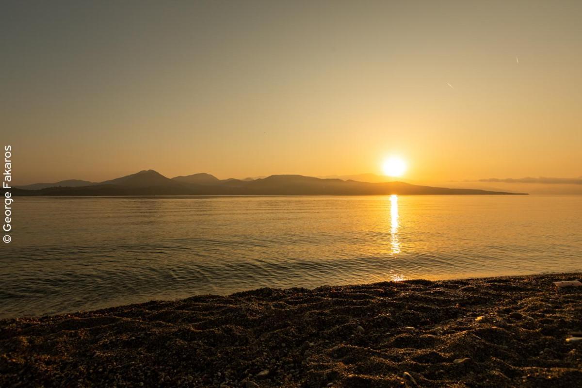 White Rock Villas Lefkada Lygia  Bagian luar foto